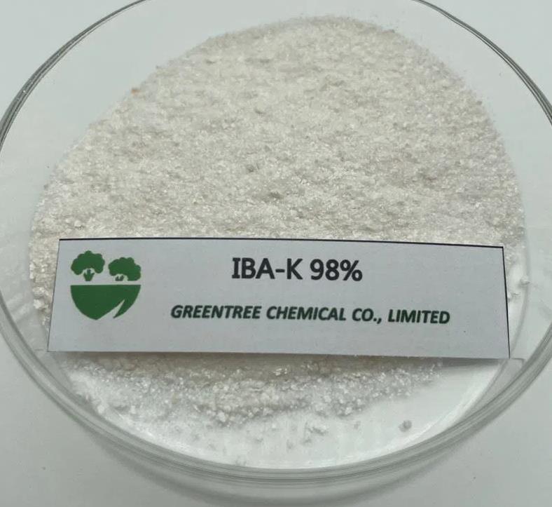 Potassium indolebutyrate IBA-K
