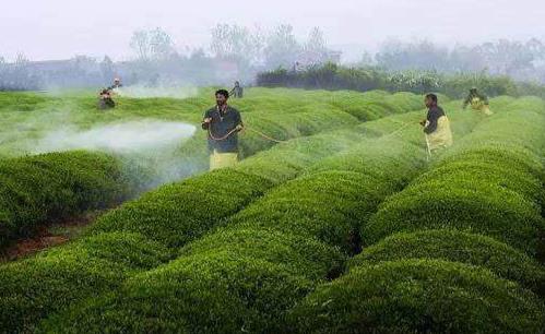 Pesticide mixing