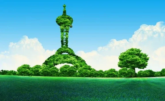 The future trend and market outlook of pyriproxyfen The future trend and market outlook of pyriproxyfen
