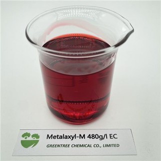 หมายเลข CAS 70630-17-0 สารฆ่าเชื้อรา Metalaxyl-M 48 480 G/l Ec