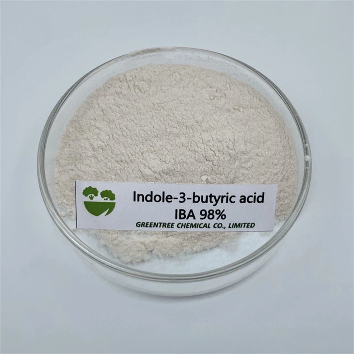 CAS No. 133-32-4 98 เปอร์เซ็นต์อินโดล-3-butyric Acid IBA Rooting Hormone