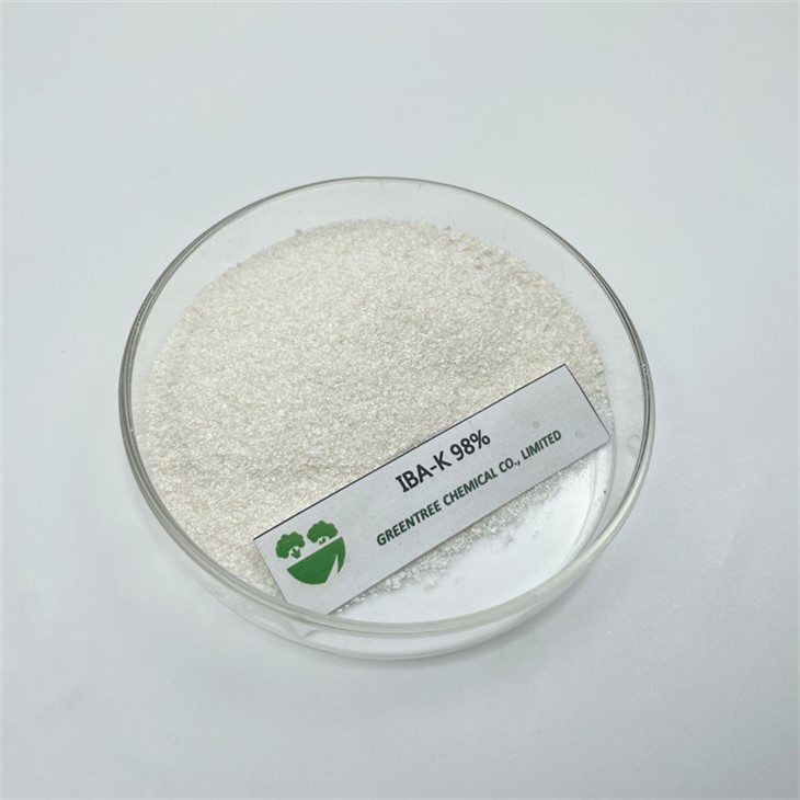 CAS No. 60096-23-3 IBA-K Indole Butyric Acid 98% Technical