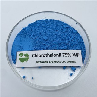 C8Cl4N2 หมายเลข CAS 1897-45-6 สารฆ่าเชื้อรา แบคทีเรีย คลอโรธาโลนิล 75% ผลิตภัณฑ์ Wp