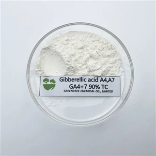 Ga4+7 90% Tc Gibberellin กรดจิบเบอเรลลิกจากสารเคมีเกษตร