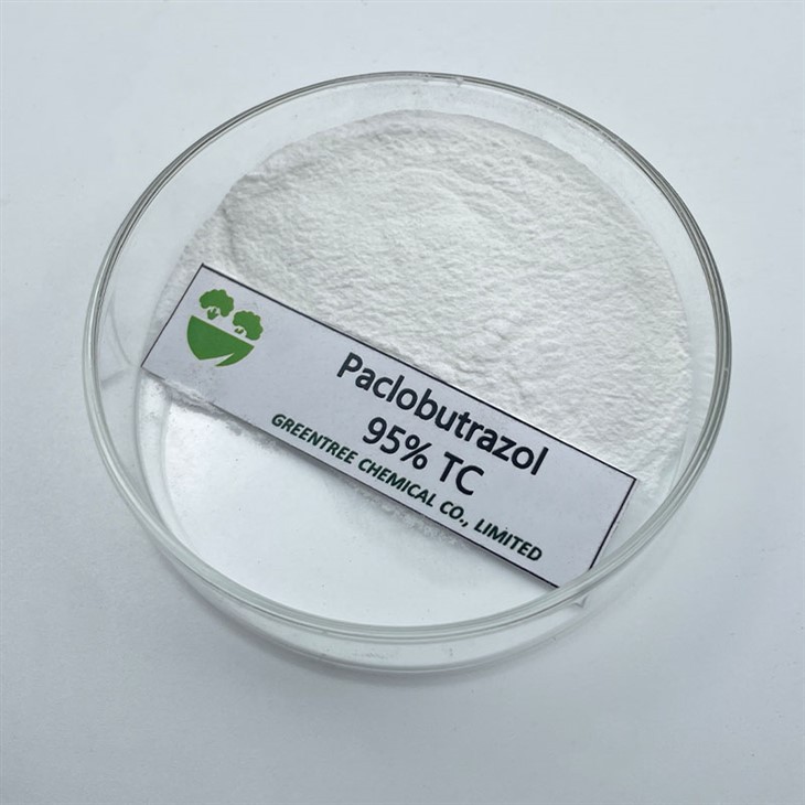 C15H20ClNO3 Paclobutrazol 95% Tc Pgr สำหรับควบคุมห้องแถว